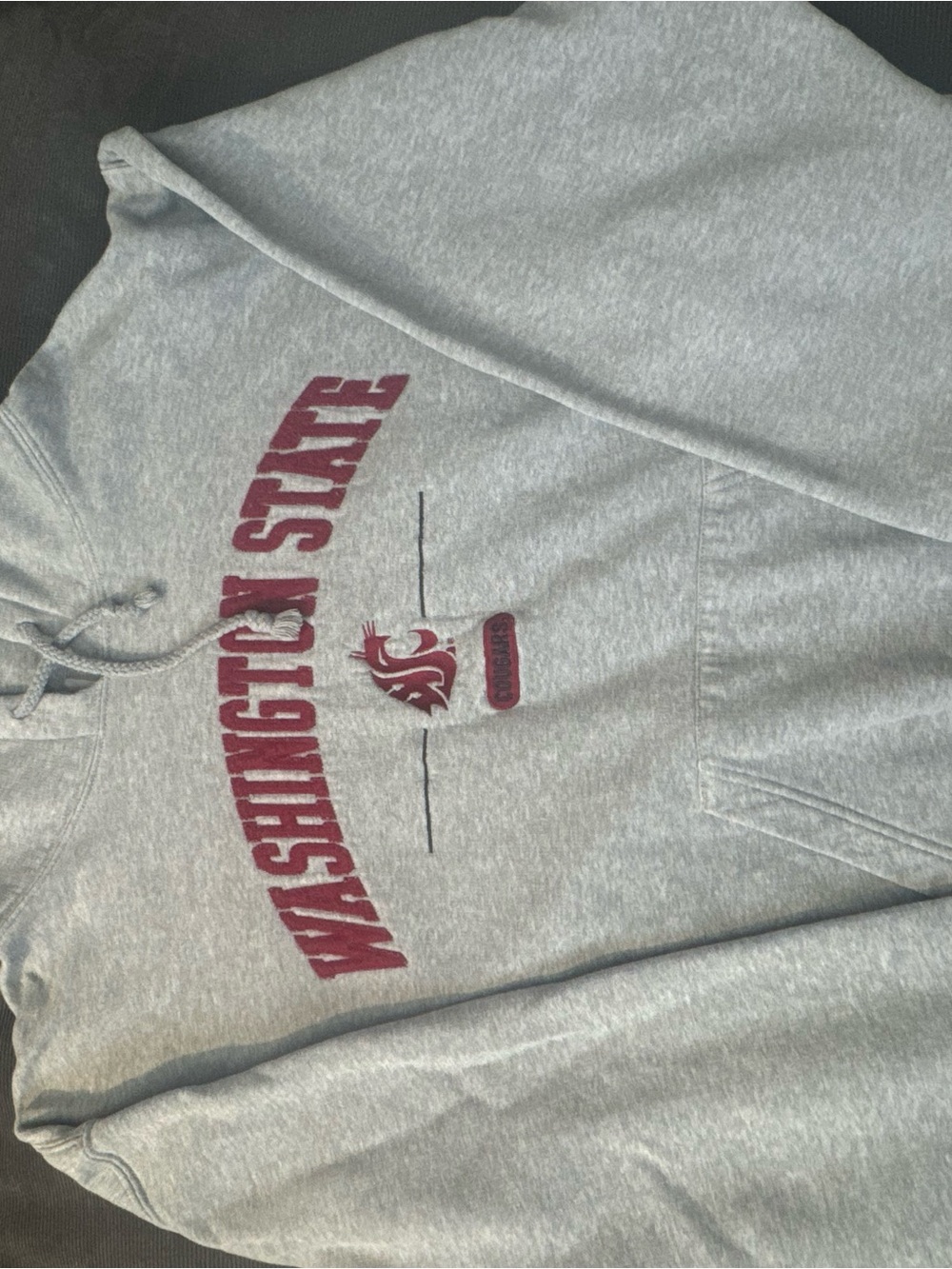 Vintage Washington State Gray Hooded Sweatshirt